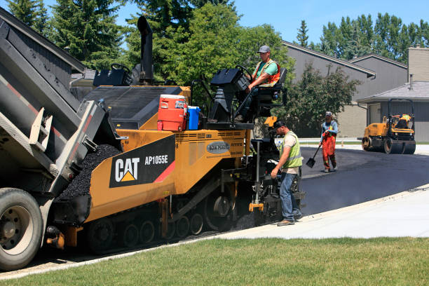 Best Decorative Driveway Pavers  in Shorewood Forest, IN